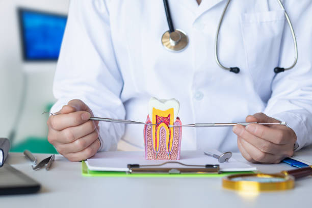 Best After-Hours Dental Trauma Care in Carnegie, OK